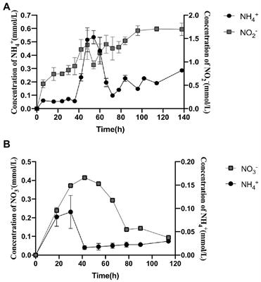 Spatial and temporal conversion of nitrogen using Arthrobacter sp. 24S4–2, a strain obtained from Antarctica